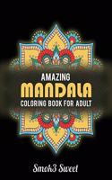 Amazing Mandala Coloring Book for Adult