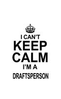 I Can't Keep Calm I'm A Draftsperson