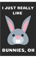 I Just Really Like Bunnies: Cute Bunny Gifts for Bunny Lovers Blank Lined Notebook (6x9), 120 Pages