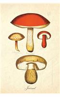 Journal: Vintage Antique Red Toadstool Mushroom Botanical Illustration - 120 Blank Lined 6x9 College Ruled Pages