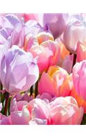 Tulip Notebook: Wide-Ruled, Notebook, 110 Pages, Full Size (8.5 x 11 inches), Large, Glossy Cover, Design on Front and Back