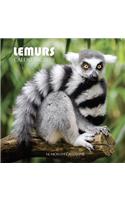 Lemurs Calendar 2019: 16 Month Calendar