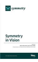 Symmetry in Vision