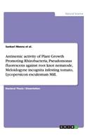 Antinemic activity of Plant Growth Promoting Rhizobacteria, Pseudomonas fluorescens against root knot nematode, Meloidogyne incognita infesting tomato, Lycopersicon esculentum Mill.