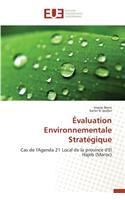 Évaluation Environnementale Stratégique