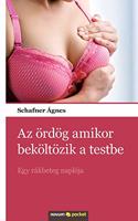 Az ördög amikor beköltözik a testbe: Egy rákbeteg naplója