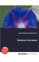 Solanum Ternatum: (English)