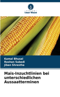 Mais-Inzuchtlinien bei unterschiedlichen Aussaatterminen