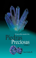 Maravilloso Mundo de Las Piedras Preciosas Tomo I