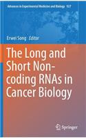 Long and Short Non-Coding Rnas in Cancer Biology