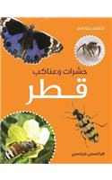 Hasharat Qatar