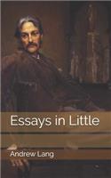 Essays in Little