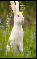 Bunnies Wall Calendar 2021