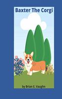 Baxter The Corgi