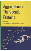 Aggregation of Therapeutic Proteins