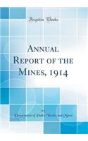 Annual Report of the Mines, 1914 (Classic Reprint)