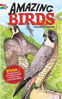 Amazing Birds: (Dover Nature Coloring Book)