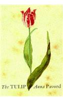 The Tulip