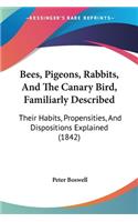 Bees, Pigeons, Rabbits, And The Canary Bird, Familiarly Described