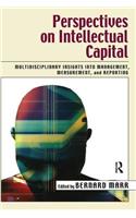 Perspectives on Intellectual Capital