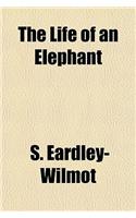 The Life of an Elephant