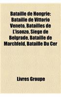 Bataille de Hongrie: Offensive Ostrogojsk-Rossoch, Bataille de Vittorio Veneto, Bataille de Nicopolis, Batailles de L'Isonzo, Siege de Belg