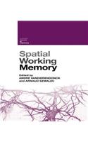 Spatial Working Memory
