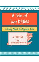 A Tale Of Two Kitties: Meet the Kyalami Cats