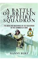 Battle of Britain Spitfire Squadron