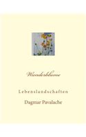 Wunderblume