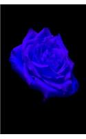 Blue Rose Journal