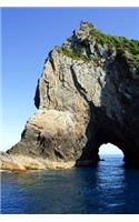 Hole in the Rock Piercy Island Bay of Islands New Zealand Journal