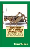 The Beginner's Guide to Breeding Crickets At Home