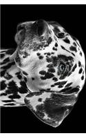 Dalmatian in Black and White Journal: Take Notes, Write Down Memories in this 150 Page Lined Journal