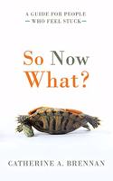 So Now What?: A Guide for People Who Feel Stuck