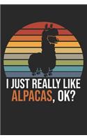 I Just Really Like Alpacas, OK?