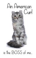 An American Curl Silver Tortoiseshell Cat is the Boss of me...