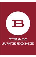 B Team Awesome