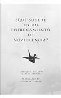 ¿qué Sucede En Un Entrenamiento de Noviolencia?