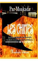Les Chiites Au Haut Degr