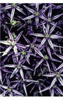 Bright Purples - Lined Notebook with Margins: 101 Pages, Medium Ruled, 6 x 9 Journal, Soft Cover