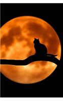 Black Cat In The Moonlight Notebook