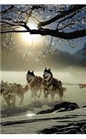 Dog Racing Notebook: 150 lined pages, softcover, 6 x 9