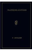 Plastische Anatomie