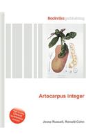 Artocarpus Integer