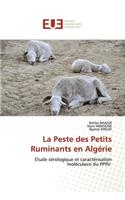 La Peste des Petits Ruminants en Algérie