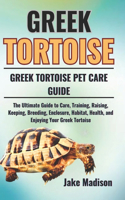 Greek Tortoise