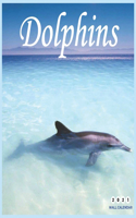 Dolphins 2021 Wall Calendar