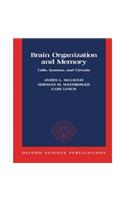 Brain Organization and Memory
