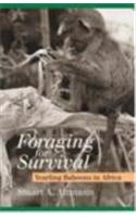 Foraging for Survival: Yearling Baboons in Africa